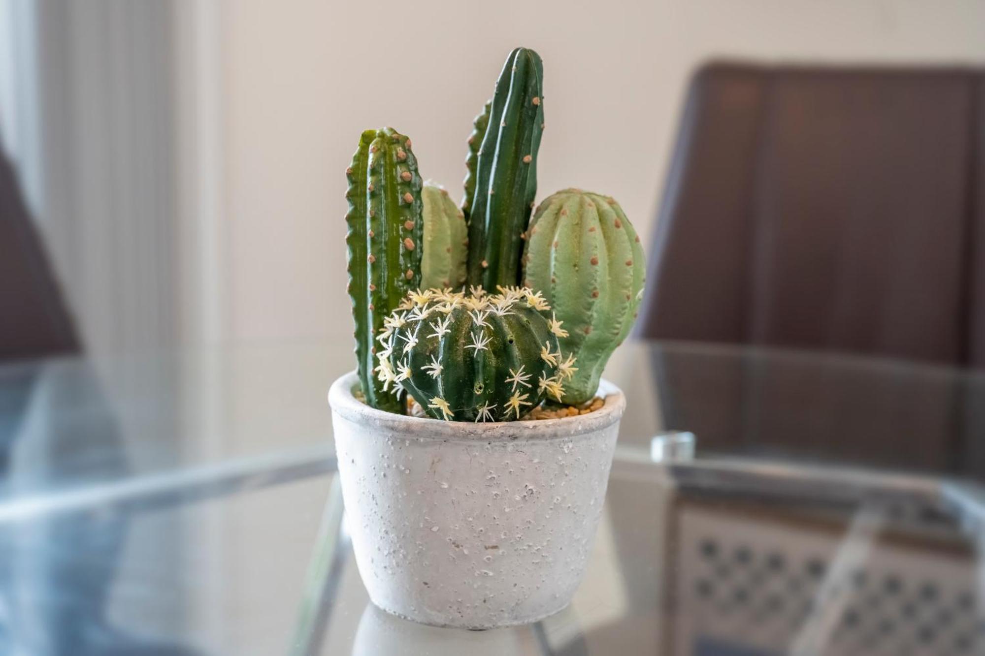 Cozy Home Management In Mdr Los Angeles Ngoại thất bức ảnh